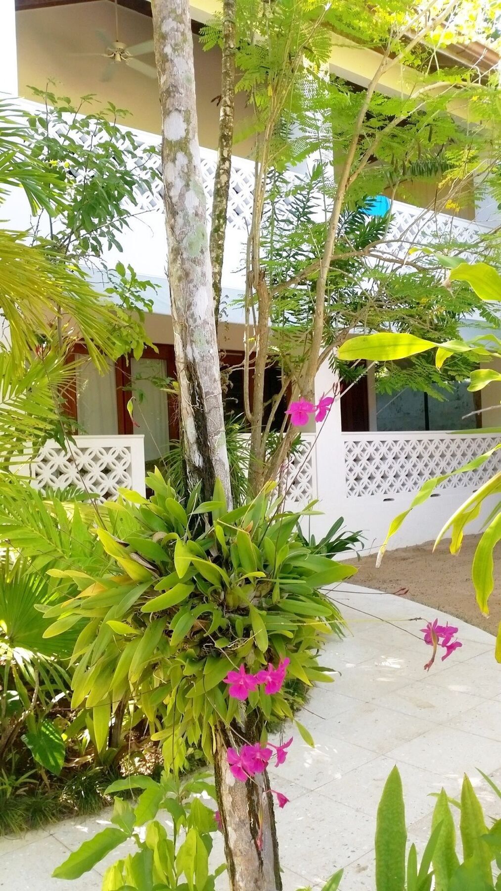 Idle Awhile Resort Negril Bagian luar foto