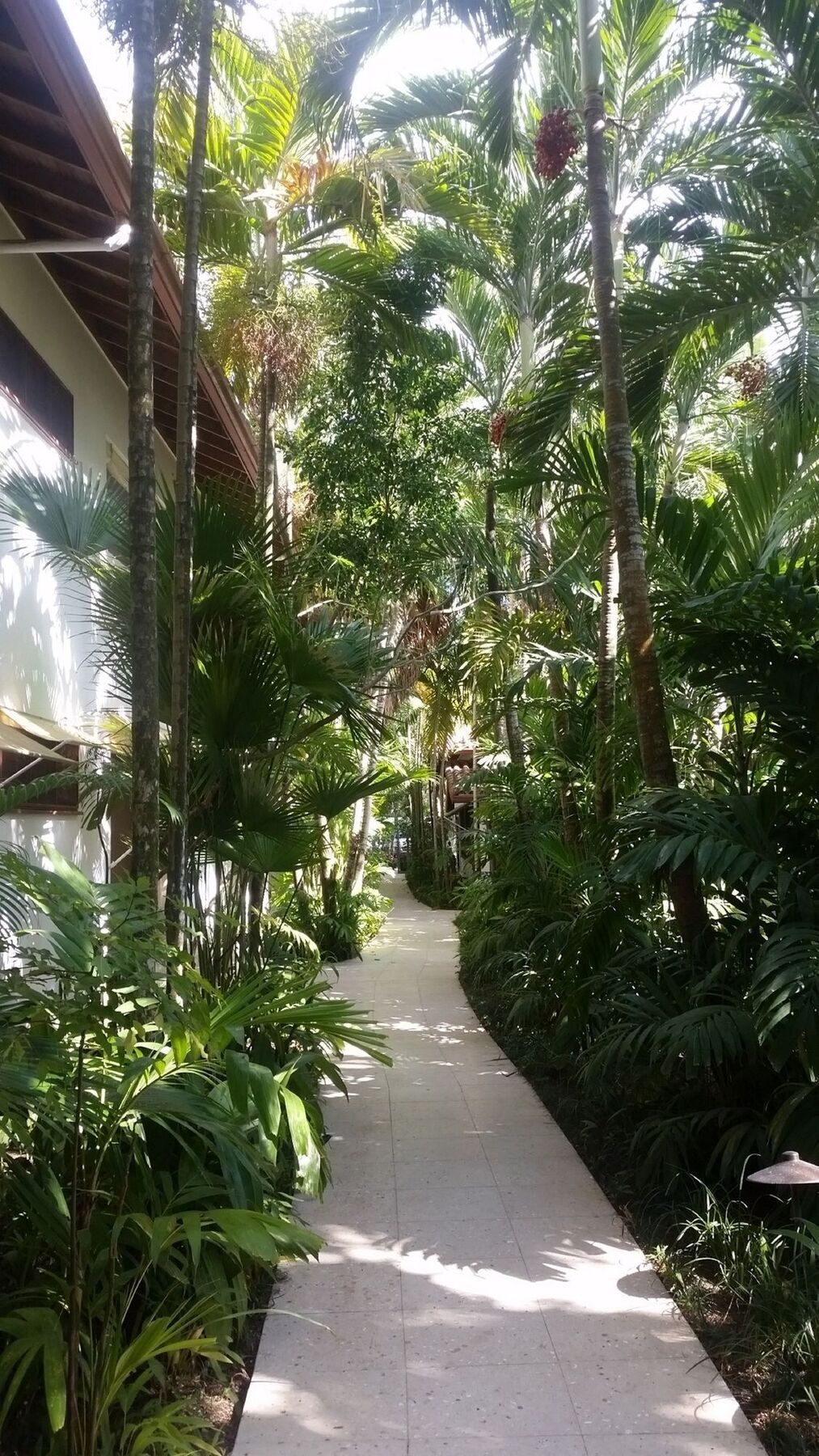 Idle Awhile Resort Negril Bagian luar foto