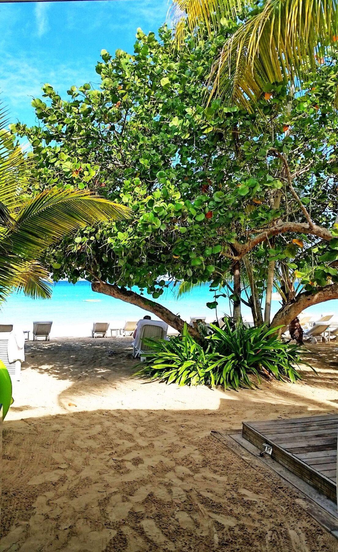Idle Awhile Resort Negril Bagian luar foto